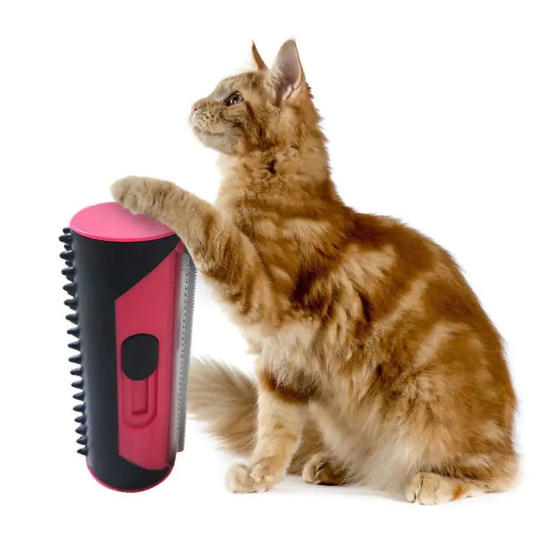 Pet Hair Remover Brush 1